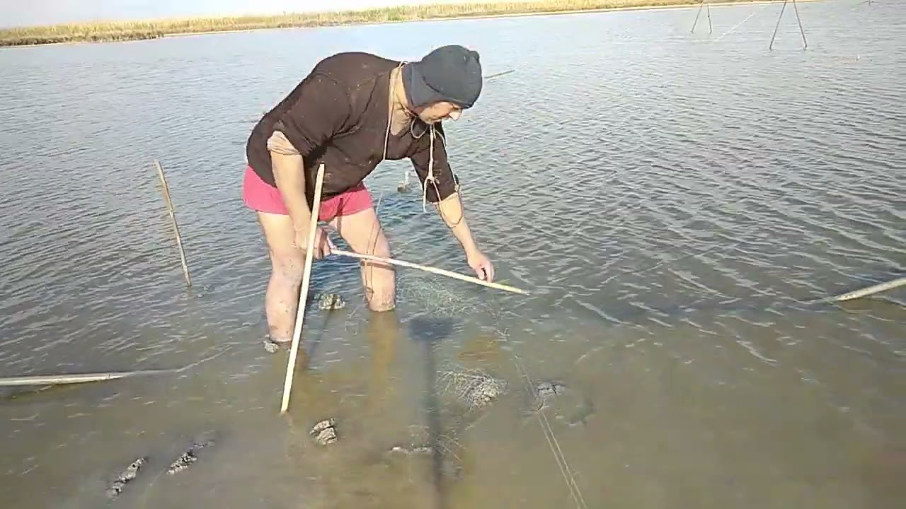 مشاركة طريقه نصب الشبكه بط الحر