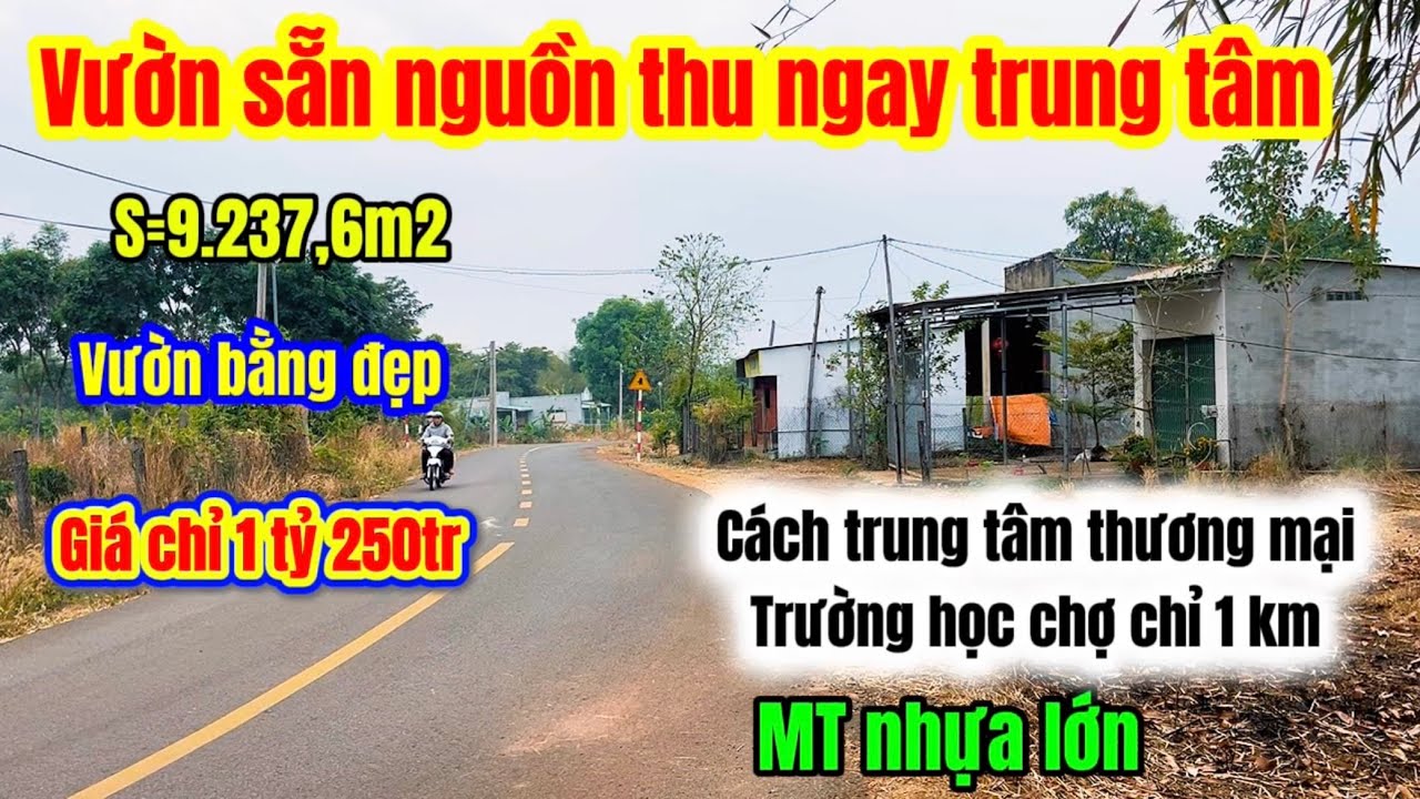 601🌹 vườn mặt tiền nhựa nguồn thu cách trung tâm chợ trường học cấp 1.2.3 chỉ 1 km giá cực hấp dẫn