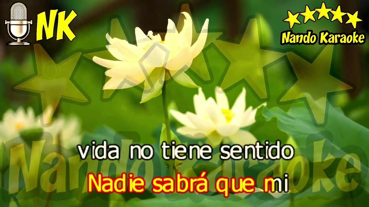 LEJOS DE LOS OJOS - Dyango Karaoke