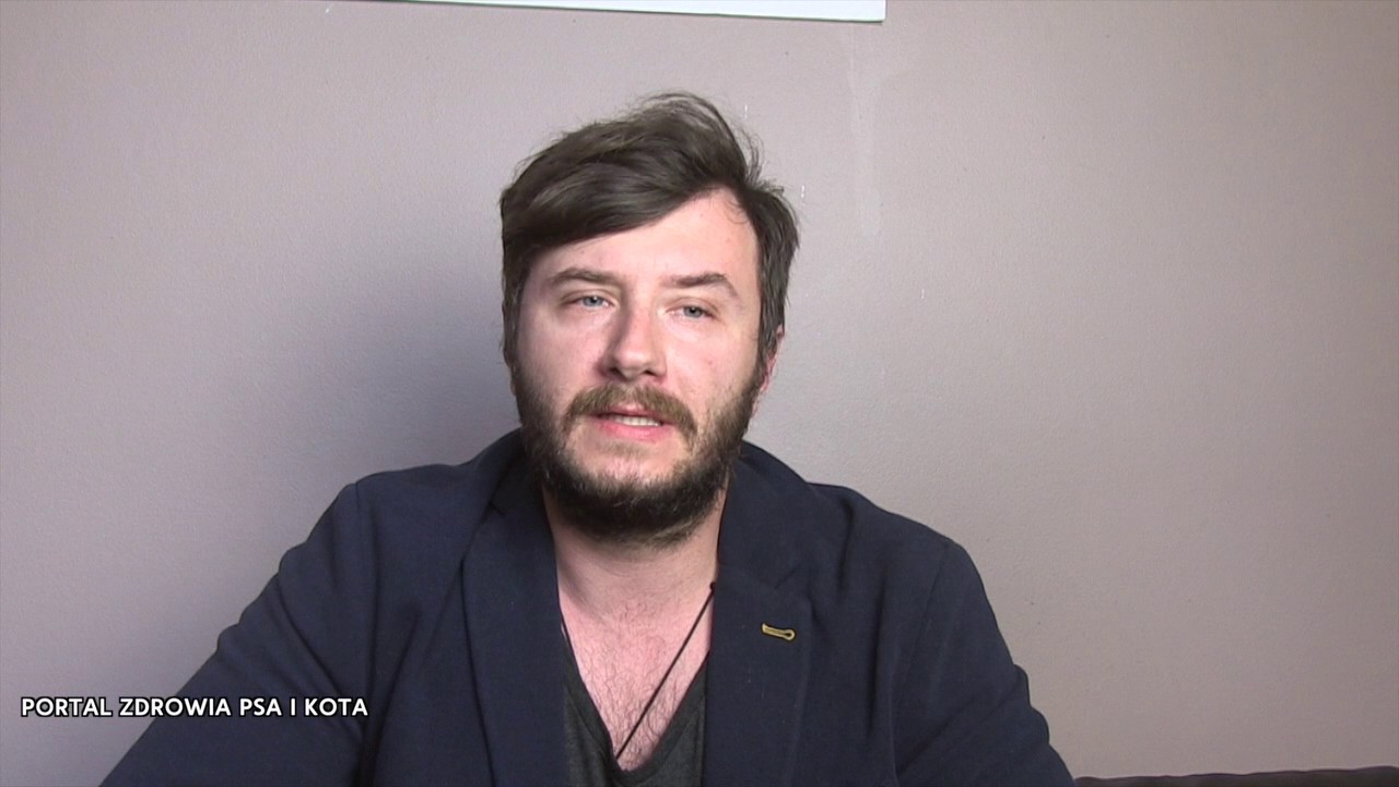 Nowotowory u zwierząt