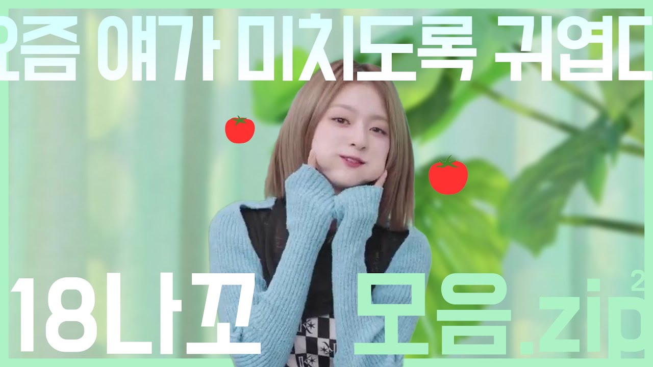 사실 예전부터 귀여웠던 이나경 '18나꼬' 두 번째 모음.zip