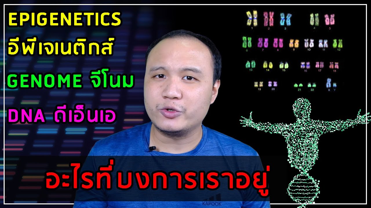 Genome  EP01 : เกริ่นนำเรื่อง จีโนม และ อีพีเจเนติกส์ อะไรที่บงการเราอยู่? อย่างย่อๆ