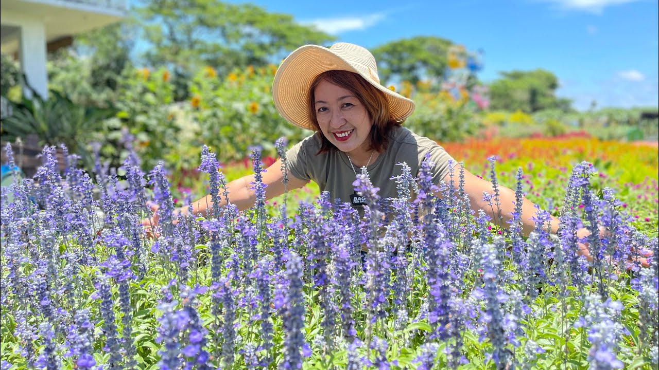 MAMAHALING ORNAMENTAL PLANTS at FARM TOURISM BUSINESS