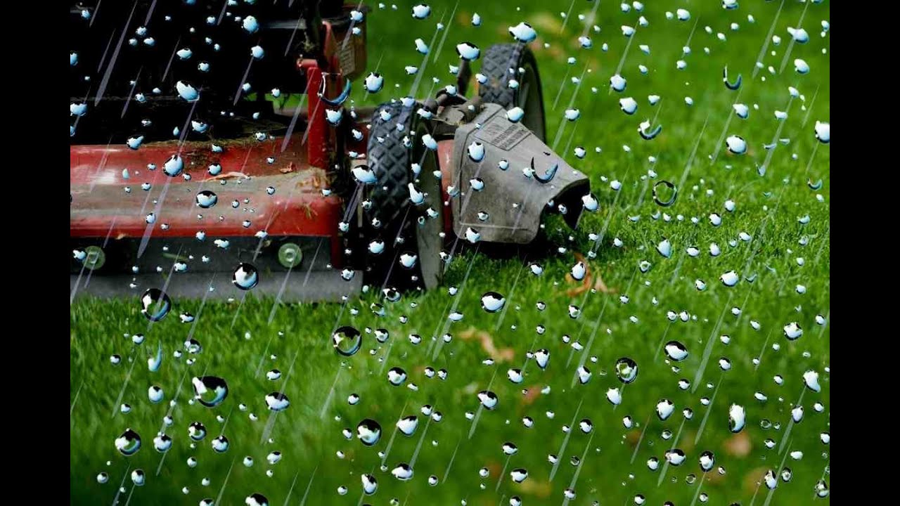 8 Hours of Lawnmower Engine & Rain Sounds | Mowing the Lawn in the Rain Sleep Sounds | Black Screen