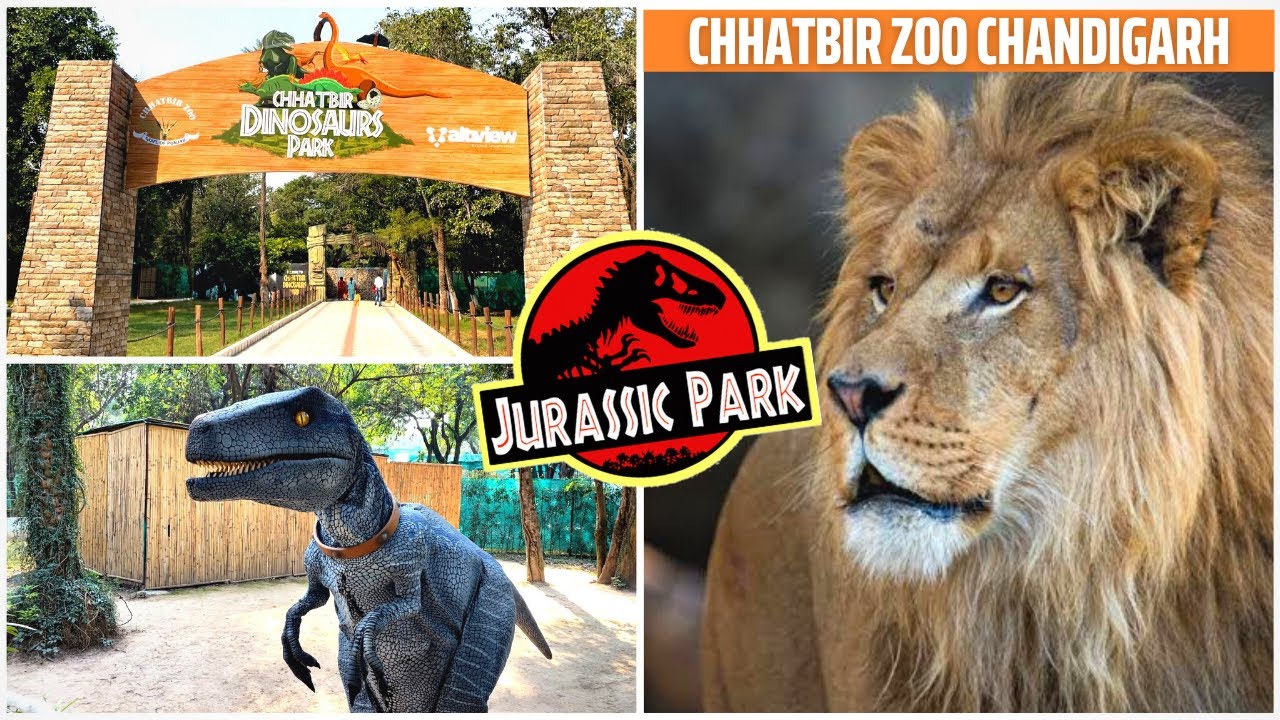 Chhatbir Zoo in Chandigarh | Famous Place in Chandigarh (छतबीर चिड़ियाघर)