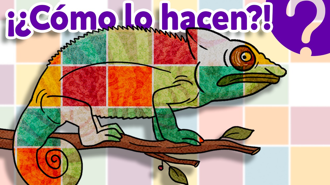 ¿Cómo cambian de color los animales?
