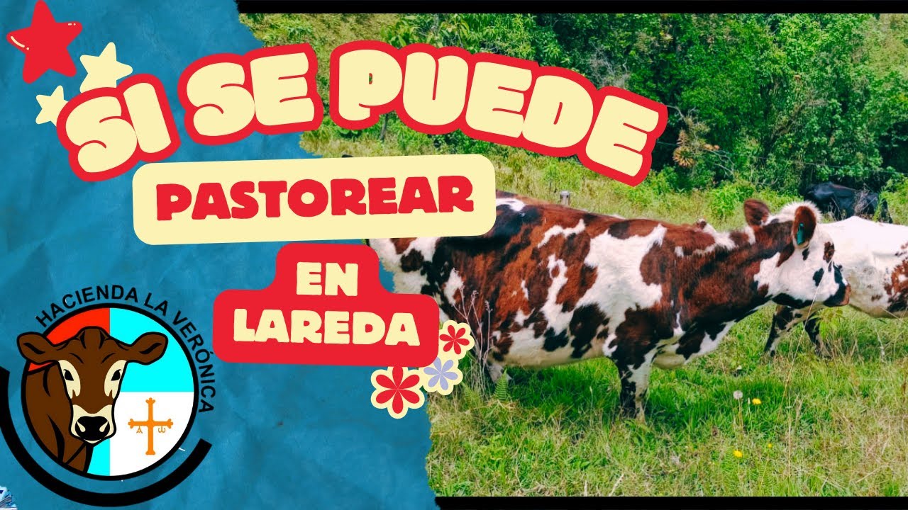 CUIDADOS PARA PASTOREAR EN LADERAS