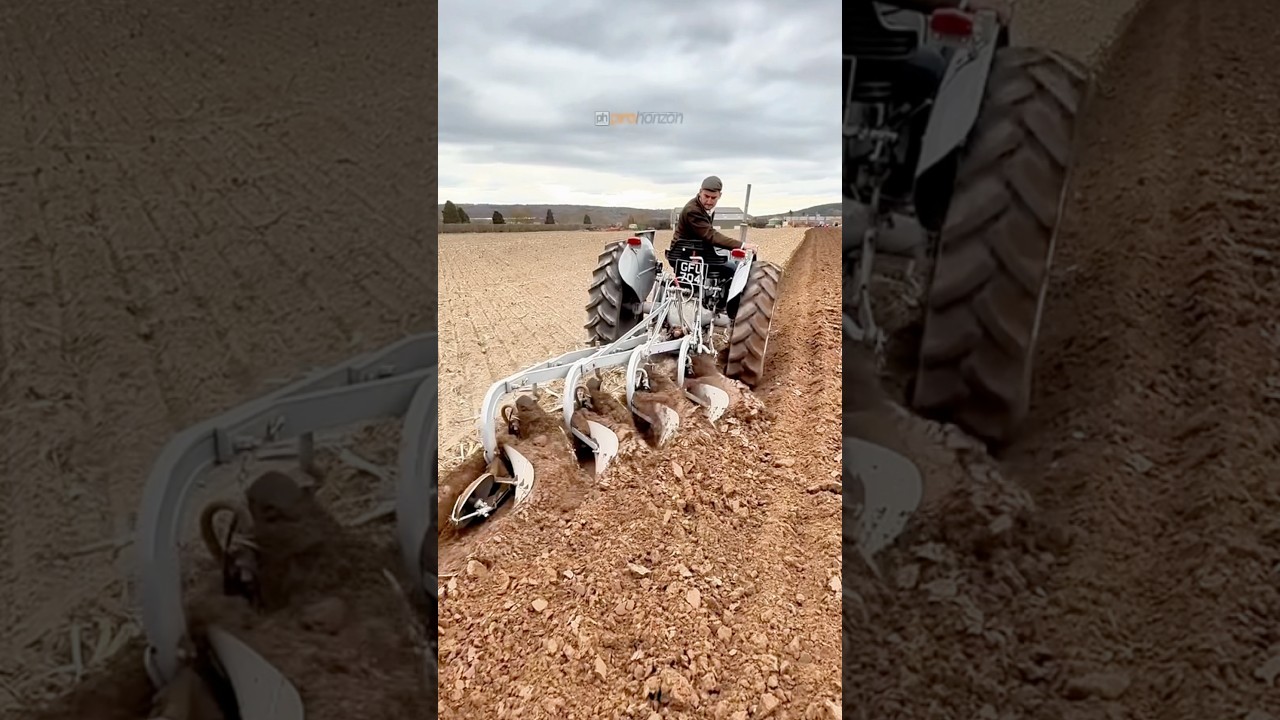 Grey Fergie With 4 Furrow Plough
