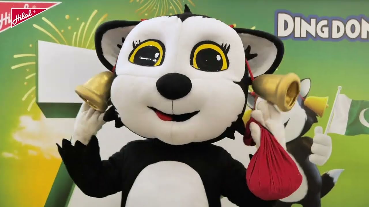 Azaadi Ke Rang Billi Ke Sang | Karachi Highlights