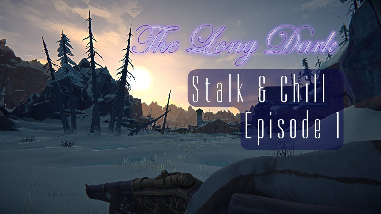 Back again!             Stalk & Chill - Episode 1             Lets Gooooo