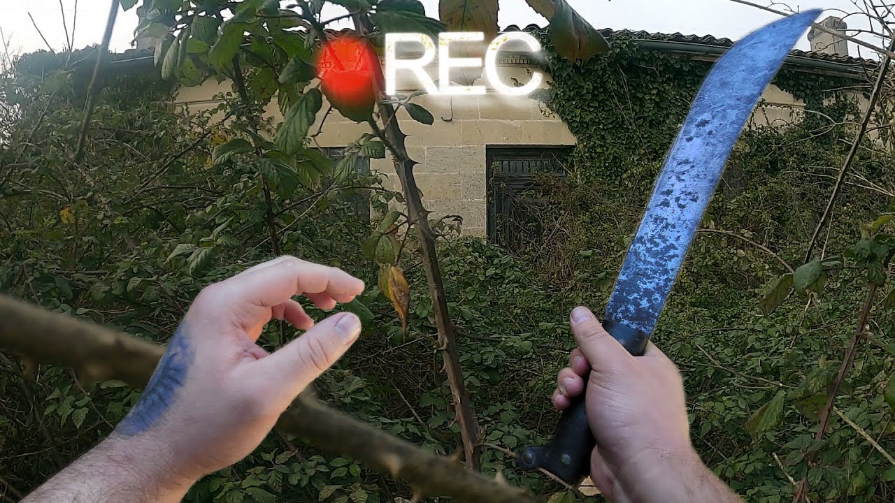 ET SI JE N'ÉTAIS PAS RENTRÉ ?  .... [ Triste Réalité ]