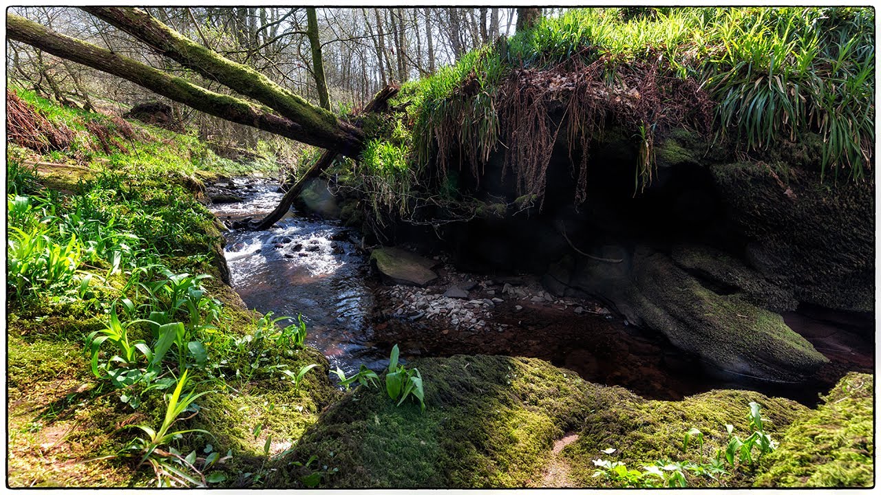 Return to a Forgotten Gem: Landscape Photography at Crichope Linn