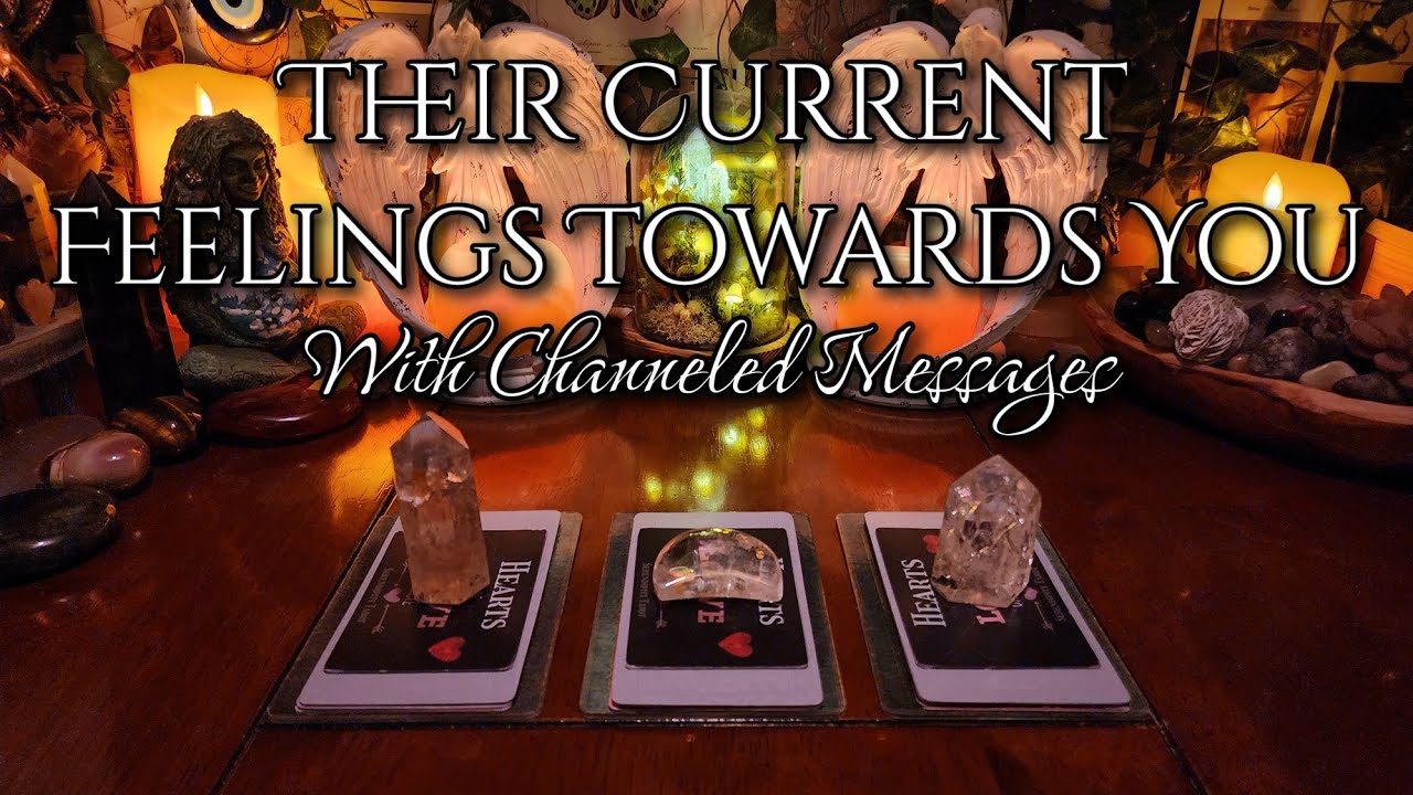 Their Current Feelings Towards You ❤️&zwj;🔥 #channelmessages #pickacard #currentfeelings #timeless