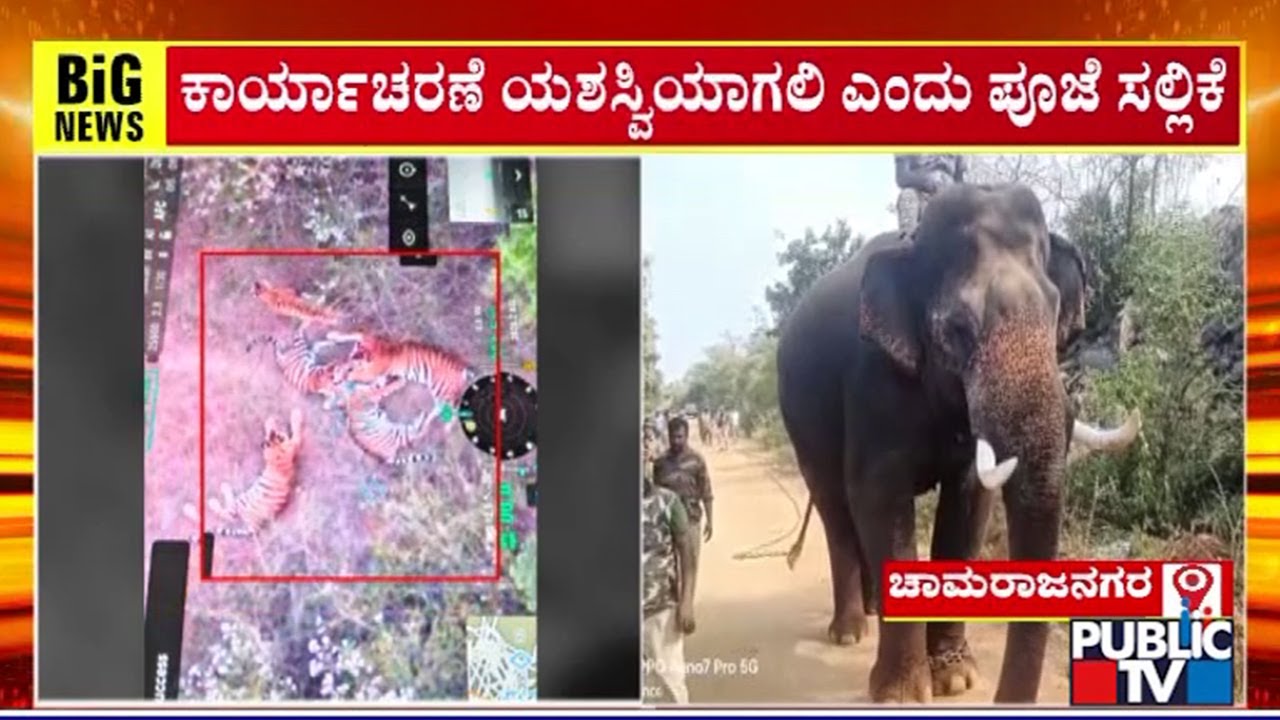 Elephants Being Used For Combing Operation Of Tigers In Chamarajanagar | Public TV