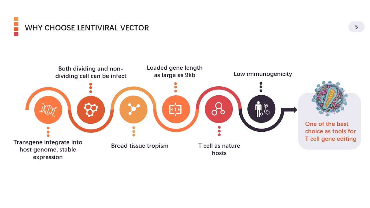 Viral based gene delivery system for CAR T cell engineering - Creative Biolabs (Updated Version)