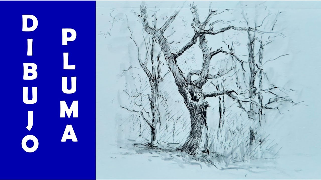 PLUMILLA Y AGUADA