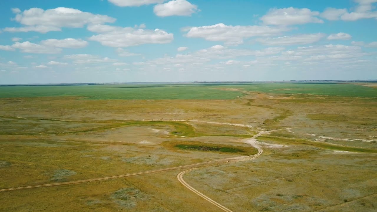 Ур.Симоновка. Кустанайская обл. 1ч.