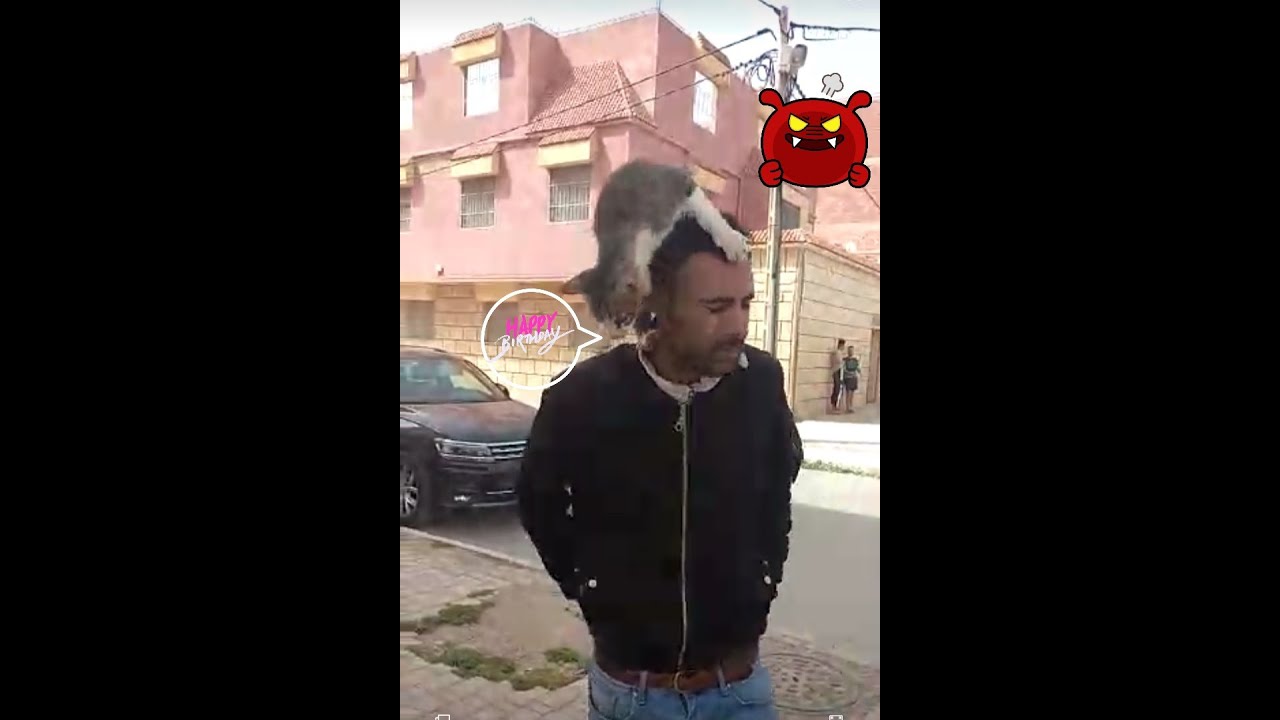 مقلب القط مسعود مع دهلاك🤣🤣                    dahlaga oujda