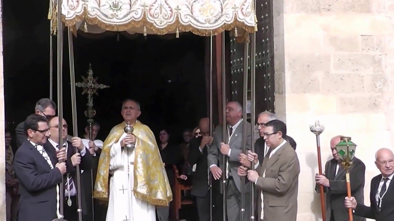 Comulgar de Impedidos 2016 Sant Pere Xàtiva