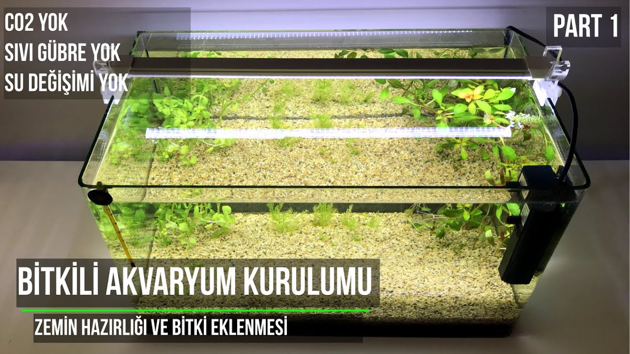 Bitkili Akvaryum Kurulumu - Zemin ve Bitkiler - Part 1