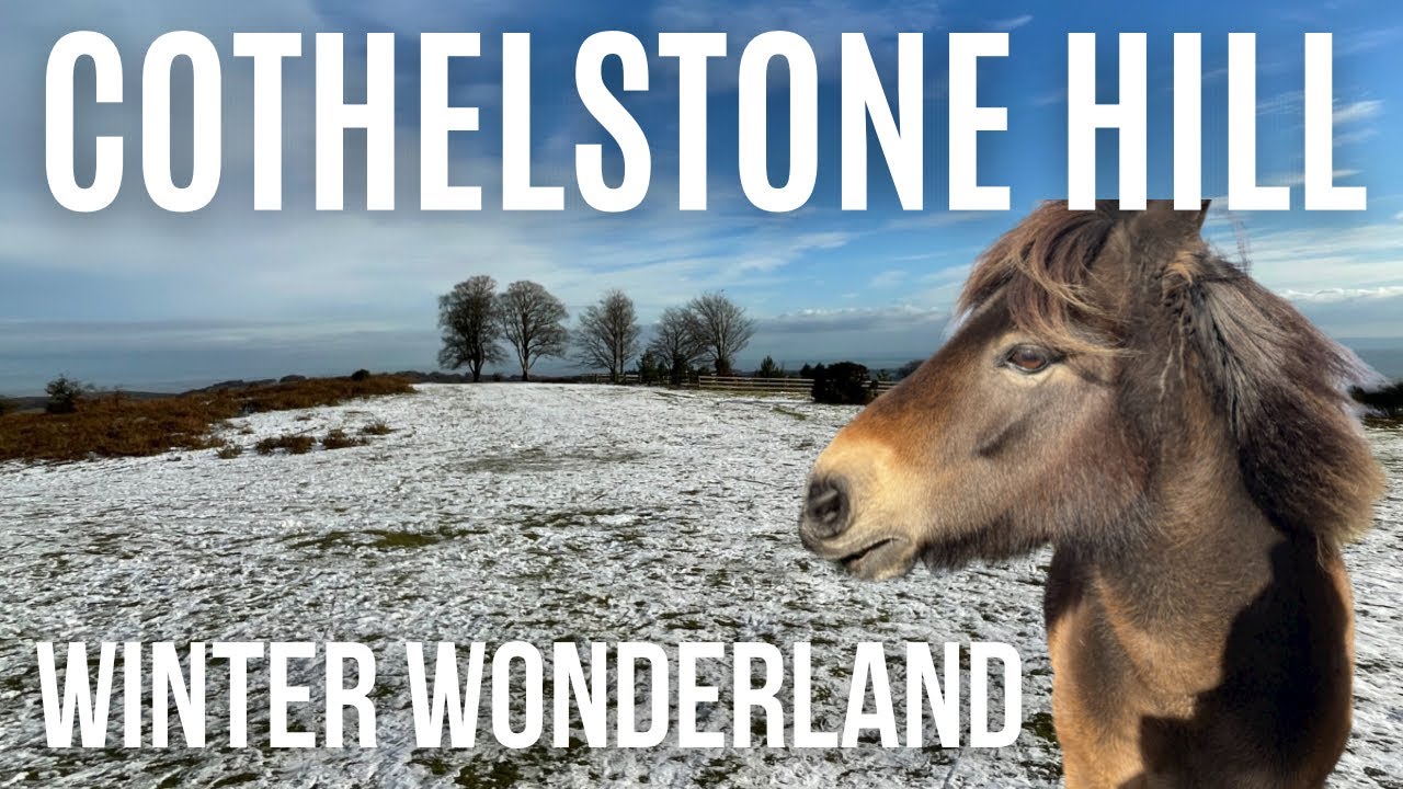 Cothelstone Hill Pony Paradise - in the snowy Quantock Hills, Somerset |