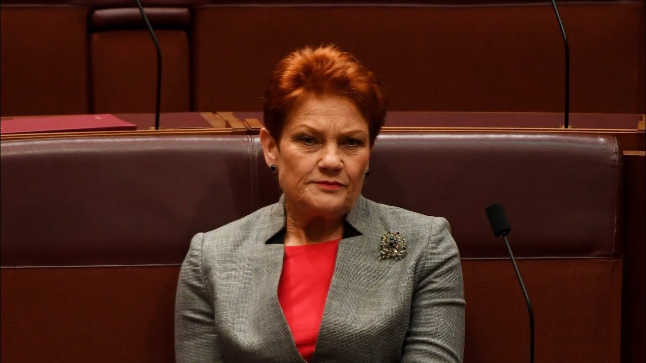Pauline Hanson burqa stunt was to ‘stand up for women’