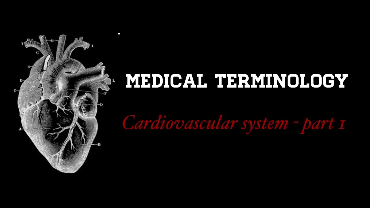 Medical terminology- cardiovascular system - part (1)