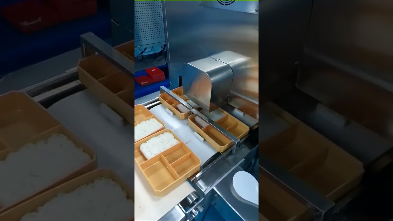 Rice dispensing machine