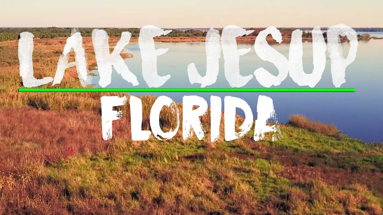 Watch out for Alligators at Lake Jesup Florida!