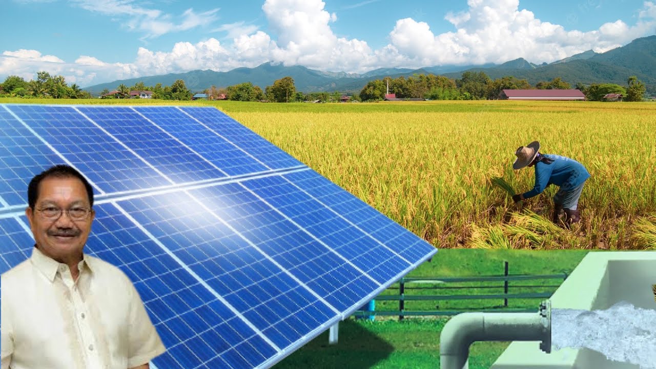 Philippine Rice Self-Sufficiency Could Be Achieved! | Solar-Powered Irrigation System