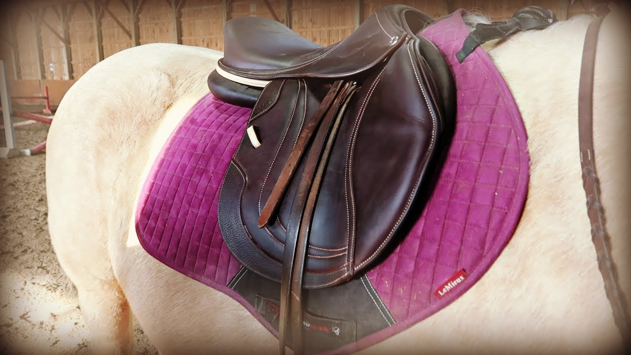 GETTING HER OWN CUSTOM SADDLE