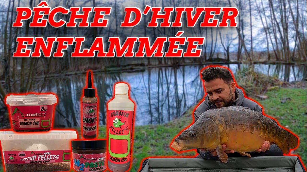 Carpes en hiver / Test de la gamme DEMON ONE de chez A-MATCH.