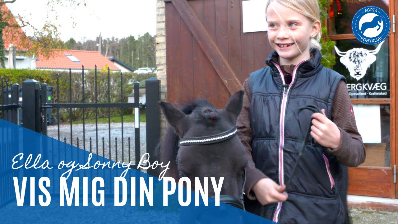 Vis mig din pony: Ella og Sonny Boy