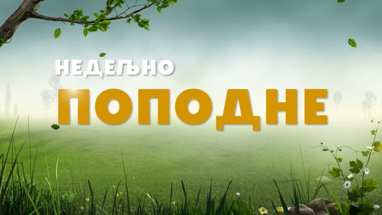 Nedeljno popodne - 15.02.2026.