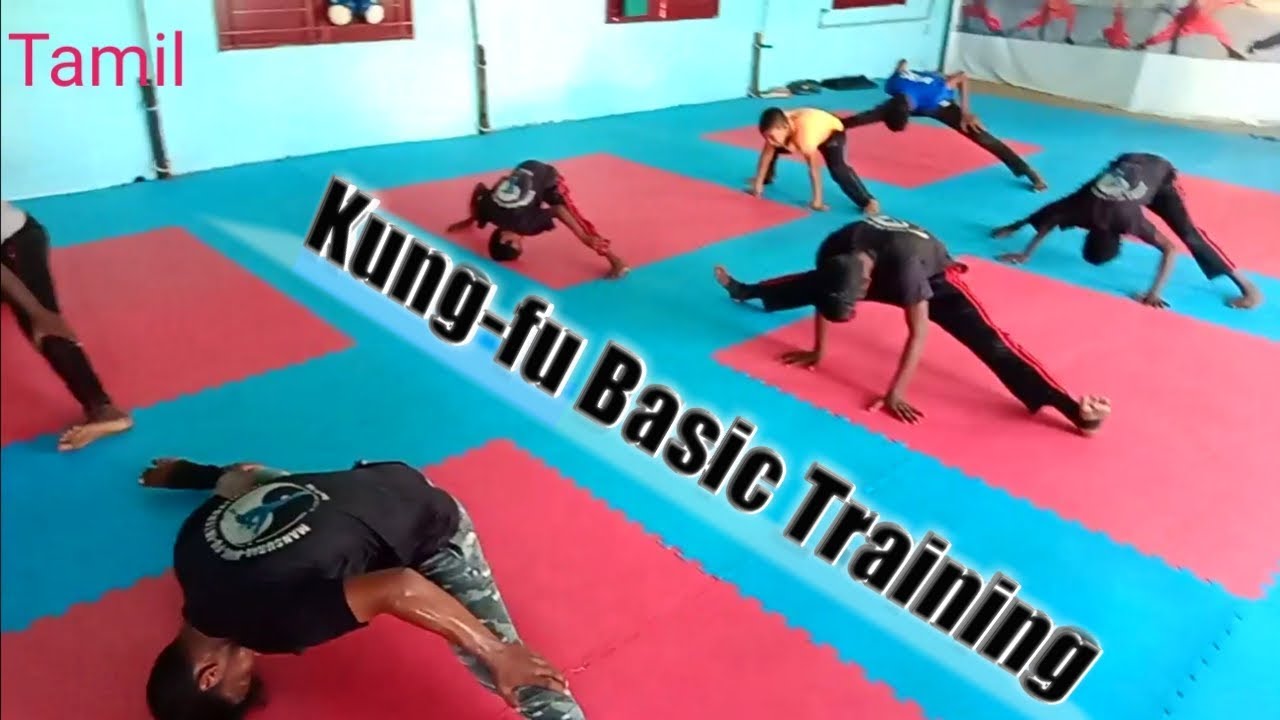 kungfu Basic Training | Self defense academy