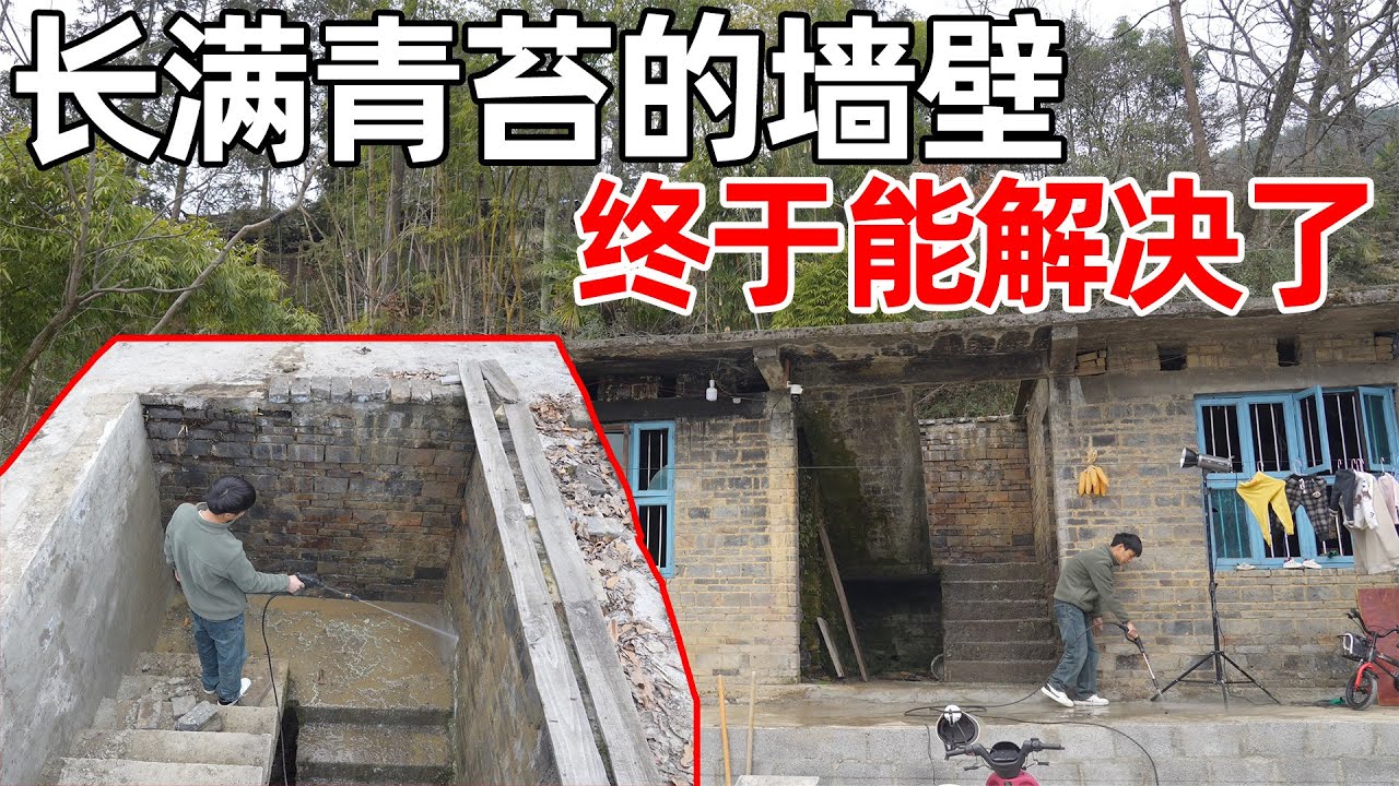 一直头疼的墙壁，全是树根和青苔，现在能把青苔顺利解决，却不能解决墙壁里面的树根