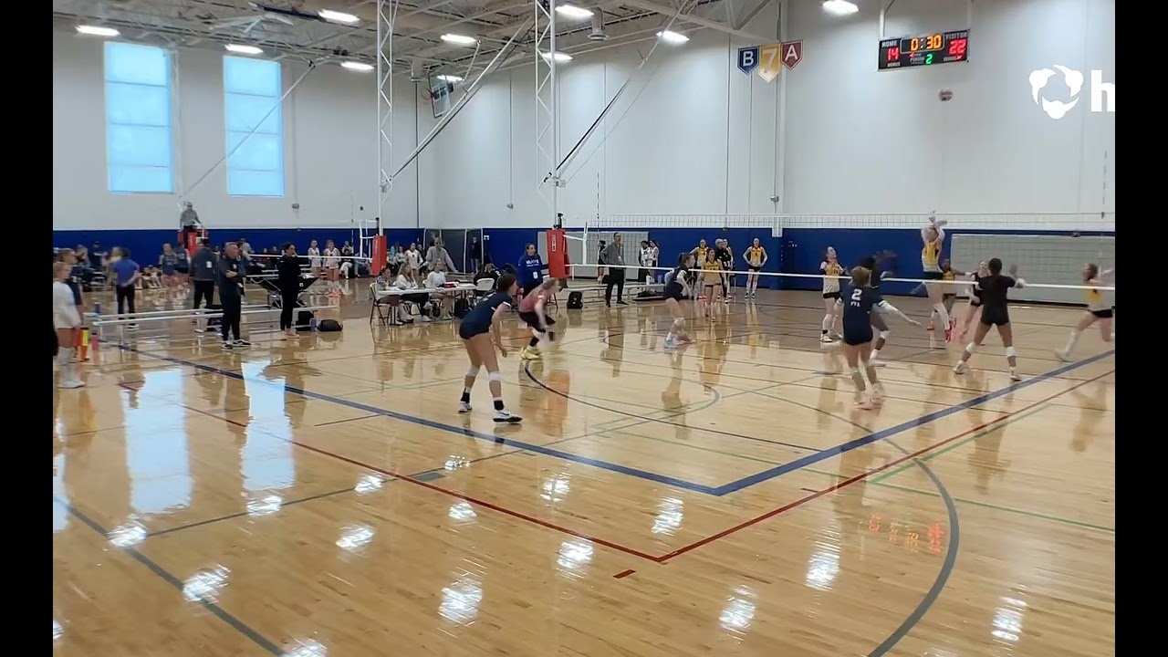 Ashley Stilley 2029 Ds/libero HOA 15U Power League Qualifier / PVA 15 Elite #6 5’8” 4.4 GPA