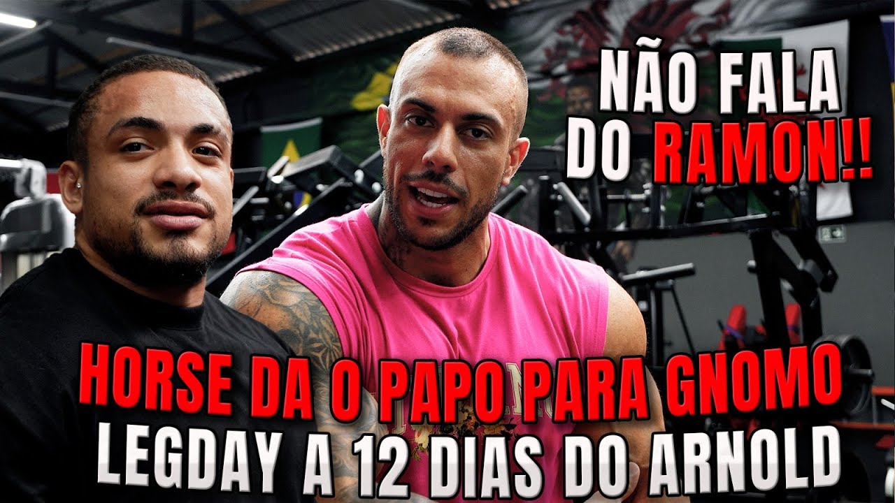 HORSE FICOU BRAVO - GNOMO NOVA JUVENTUDE