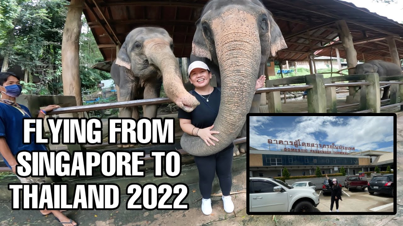 EP. 1 Travel to Chiang Mai in 2022, Visit Elephant Camp, Room Tour