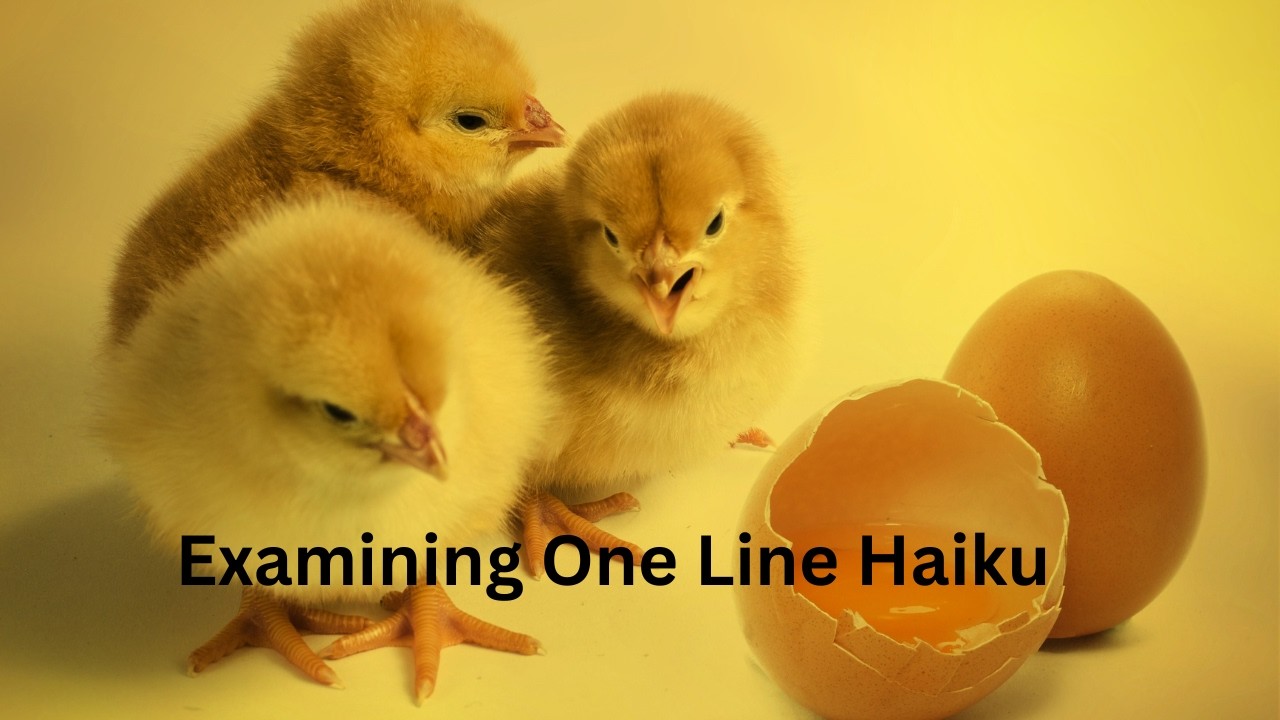 Writing Workshop: Exploring One Line Haiku part 1