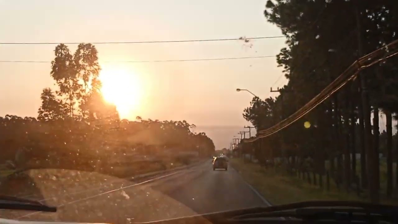 Fomos na zona rural em Araranguá. Veja que encontramos