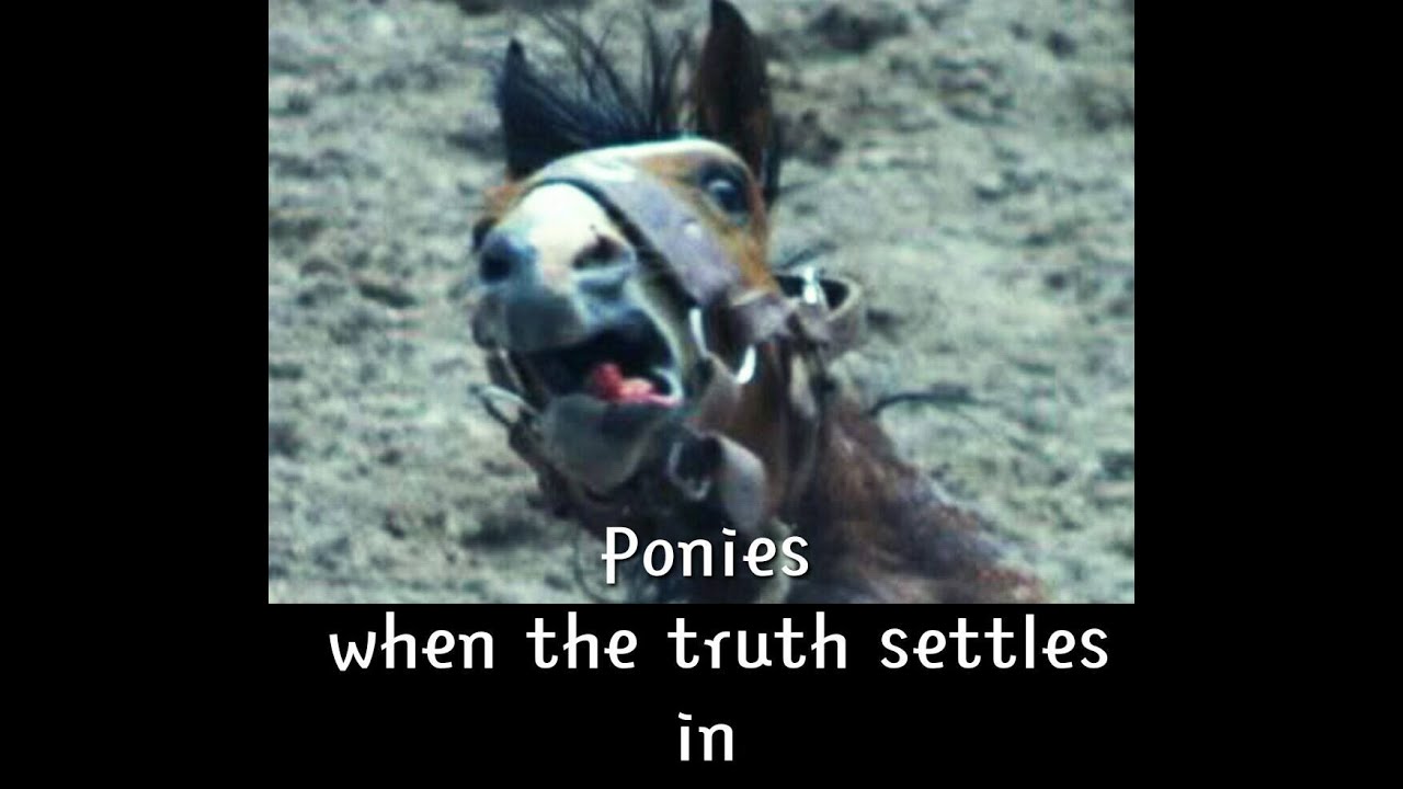 XBOTS VS PONY DEBATE Puertorock77  VS Jay.Sentries