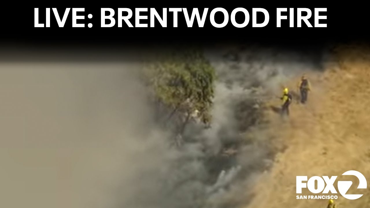 LIVE 🔴Vegetation fire in Brentwood   | KTVU