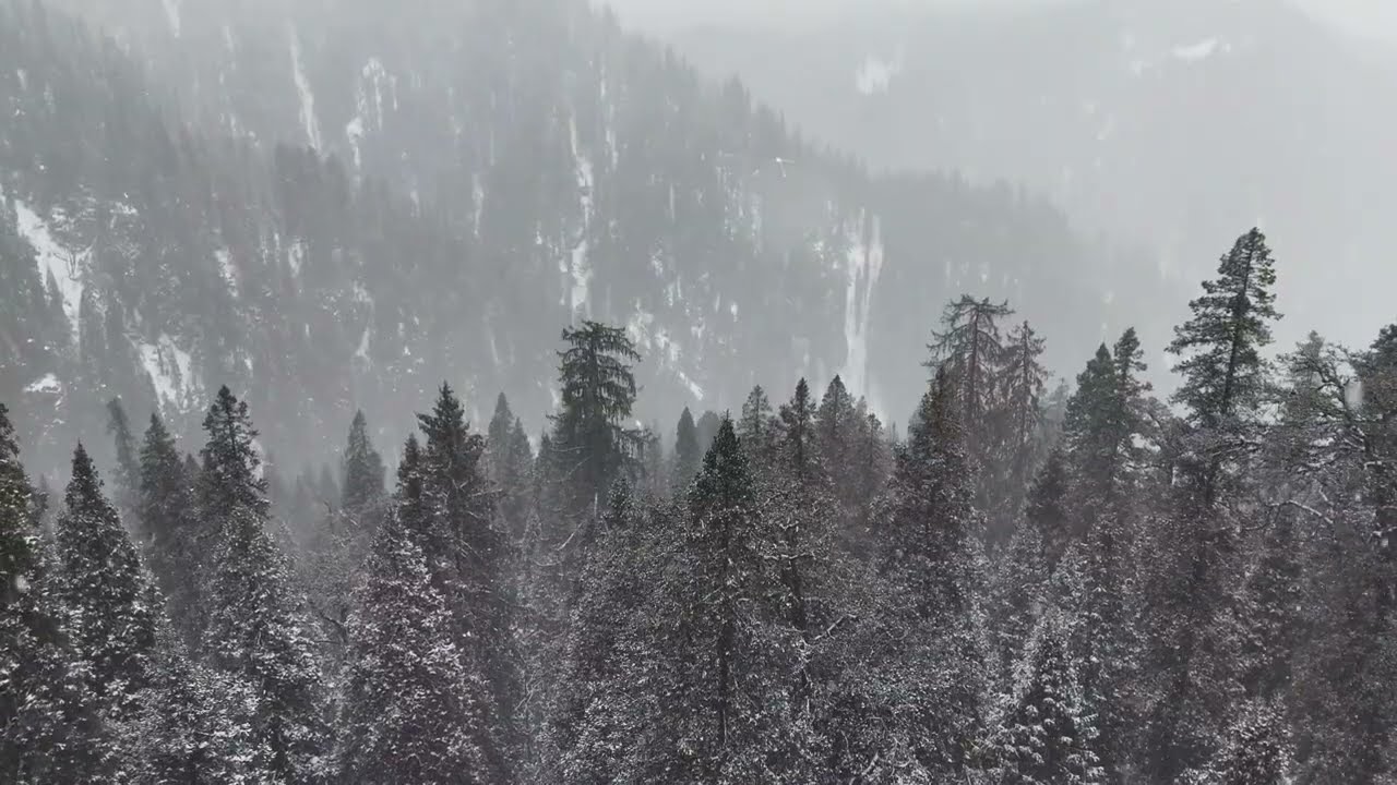 Rising Through Snowfall at Jalori Pass &mdash; Raw Drone Footage | DJI Flip | Jibhi, Himachal Pradesh 🇮🇳