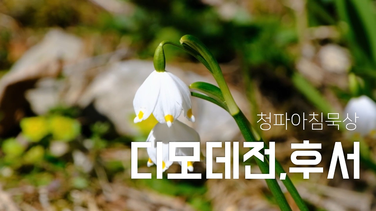 260406(월) 디모데전서 1장