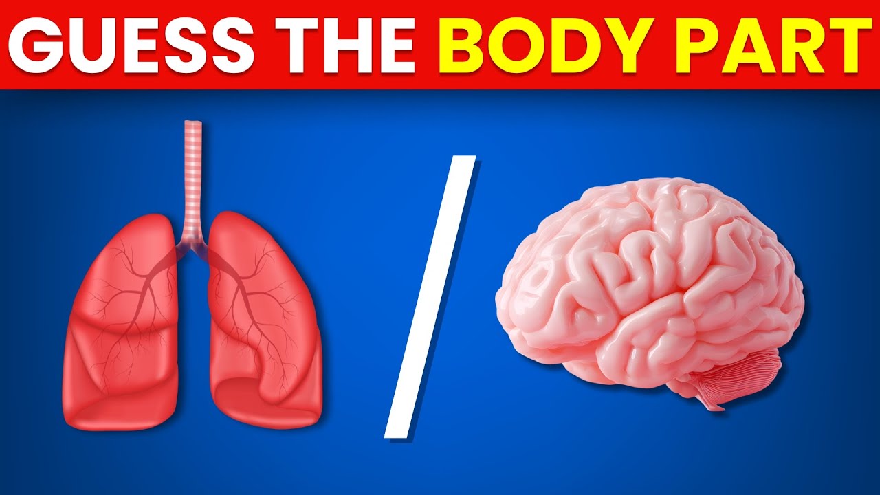 Human Body Parts Quiz