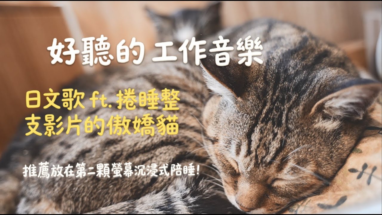 好聽日文歌 | 讀書，工作，放鬆適用背景音樂 | 貓在睡覺，我在上班｜貓奴社畜專用療癒影片