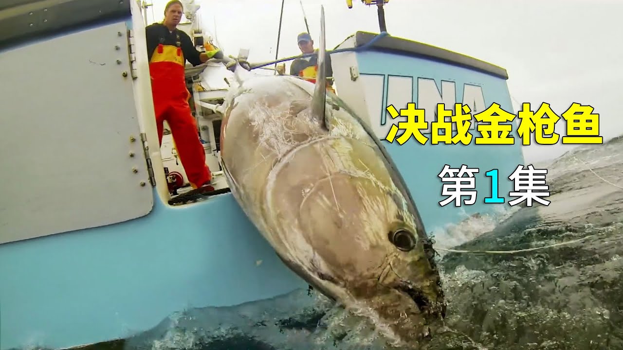 蓝鳍金枪鱼有多值钱？卡罗拉船长钓到204斤金枪鱼，狂赚5200美元