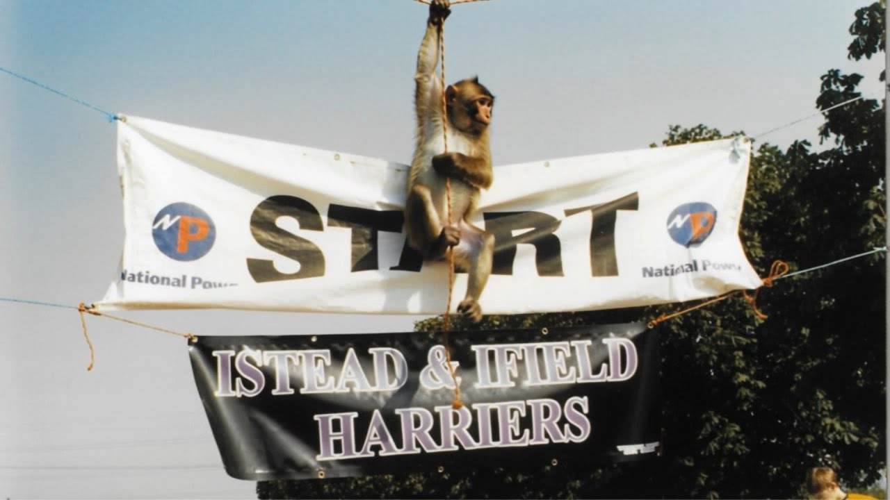 ISTEAD AND IFIELD HARRIERS  VERY EARLY DAYS