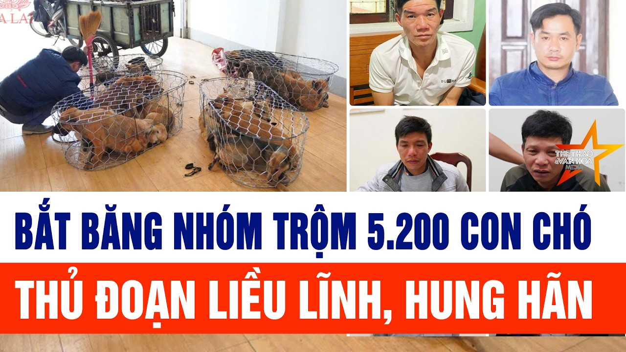 Bắt băng nhóm trộm 5.200 con chó thủ đoạn liều lĩnh, hung hãn